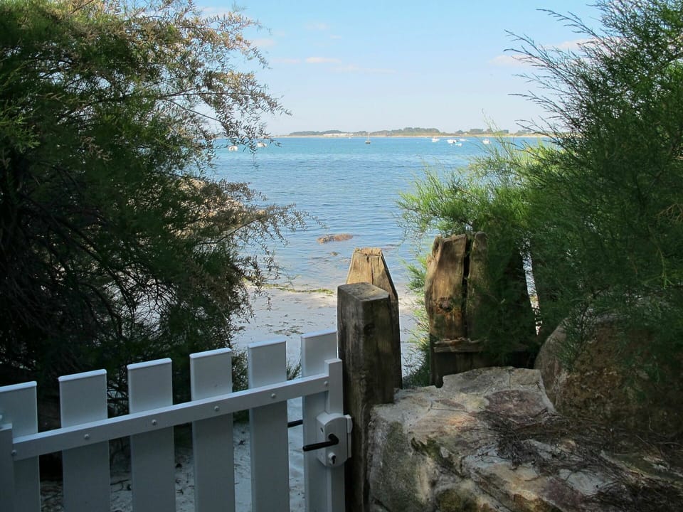 Sky, Water, Wood, Plant, Fence, Natural Landscape, Tree, Lake, Landscape, Grass