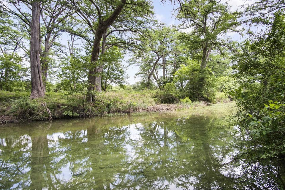 Relax by the serene, spring-fed river surrounded by towering cypress trees and lush greenery-your private slice of nature.