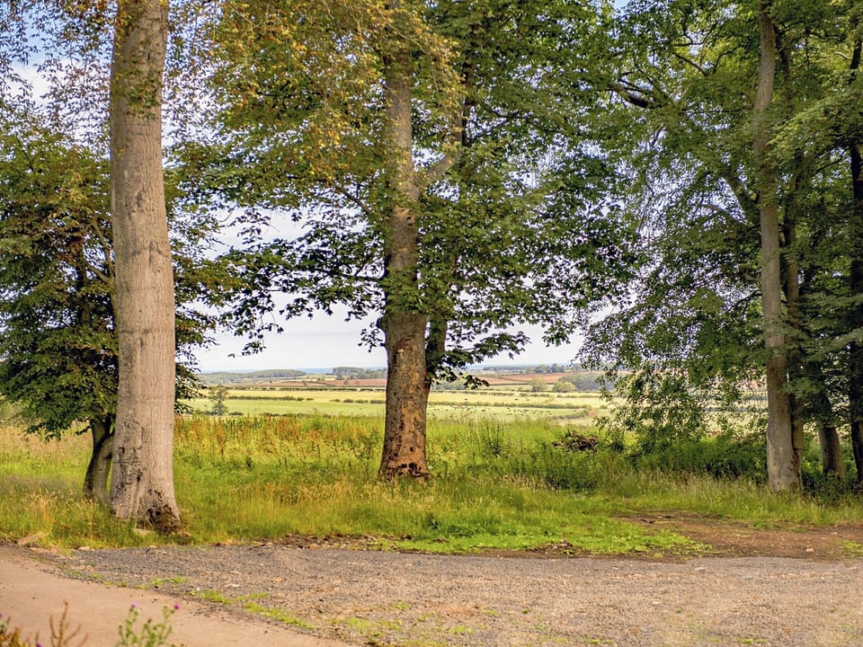 View | Heckley Stable Cottage - Heckley Cottages, Alnwick