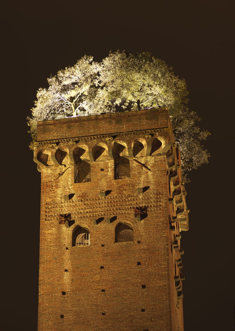 Torre Guinigi, symbol of Lucca, a few streets away