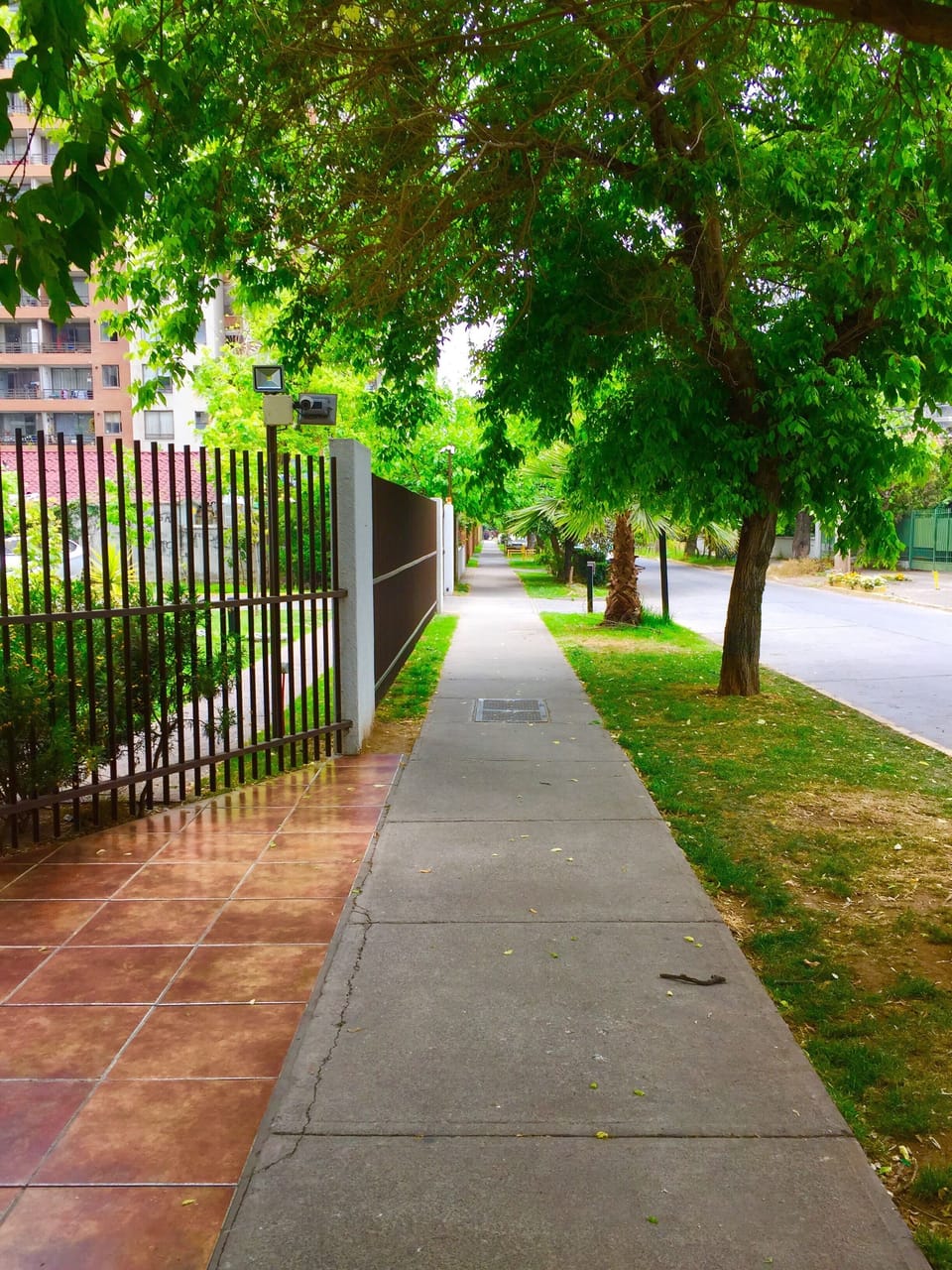 Property grounds