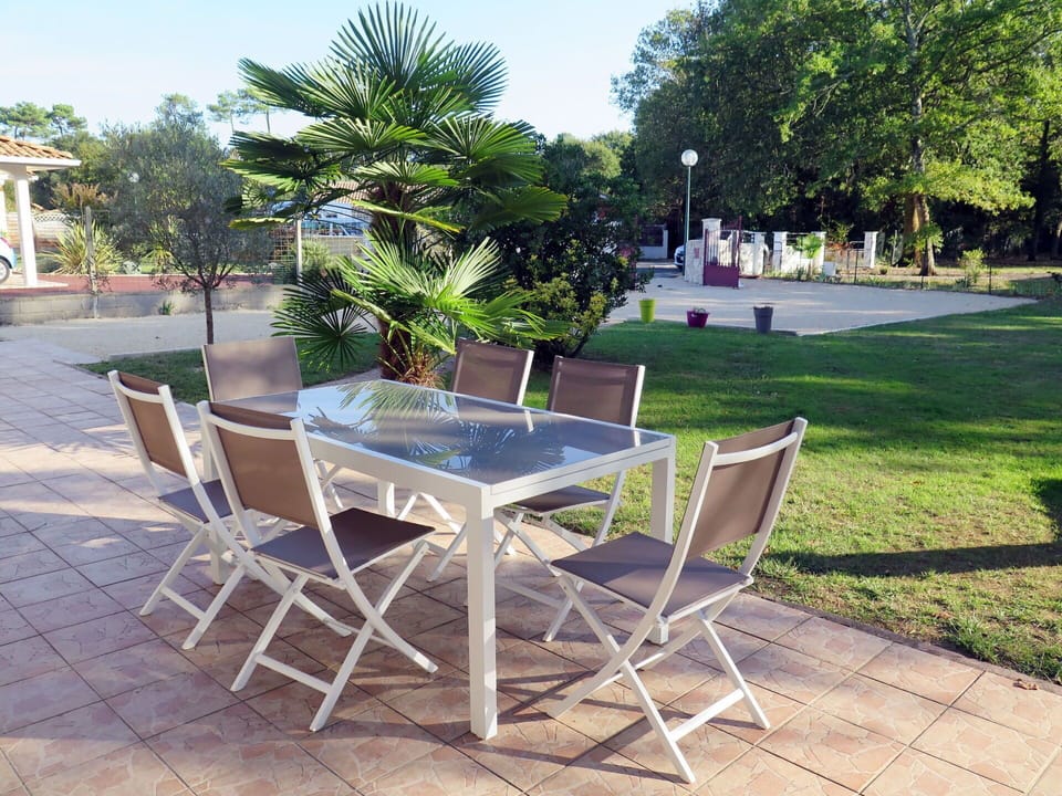 Table, Property, Furniture, Tree, Outdoor Table, Chair, Palm Tree, House, Vacation, Outdoor Furniture