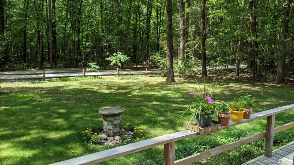Spacious front yard