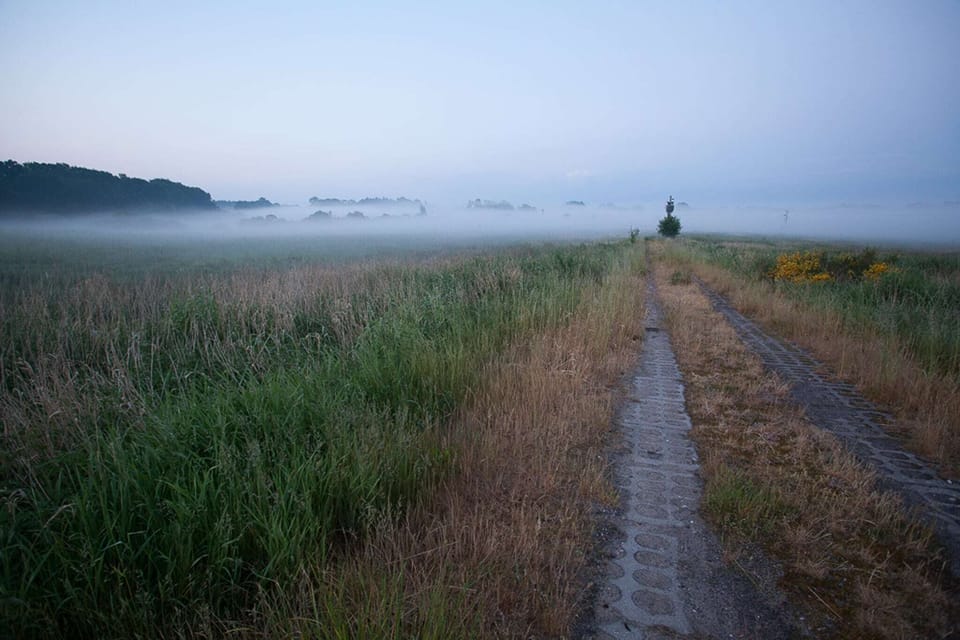 Immediate Surroundings [summer] (<1 km)