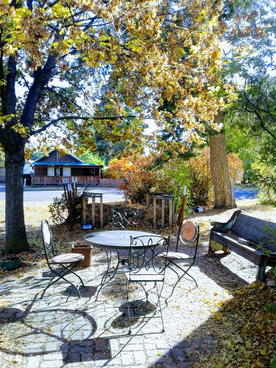 Sunny back patio.