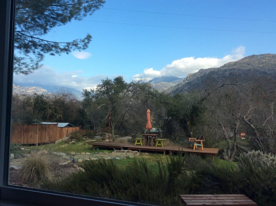   Looking out the bedroom window 