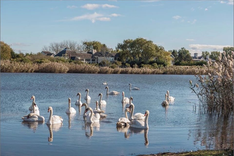 Direct water access from the property, ideal for your sail boat or kayak.