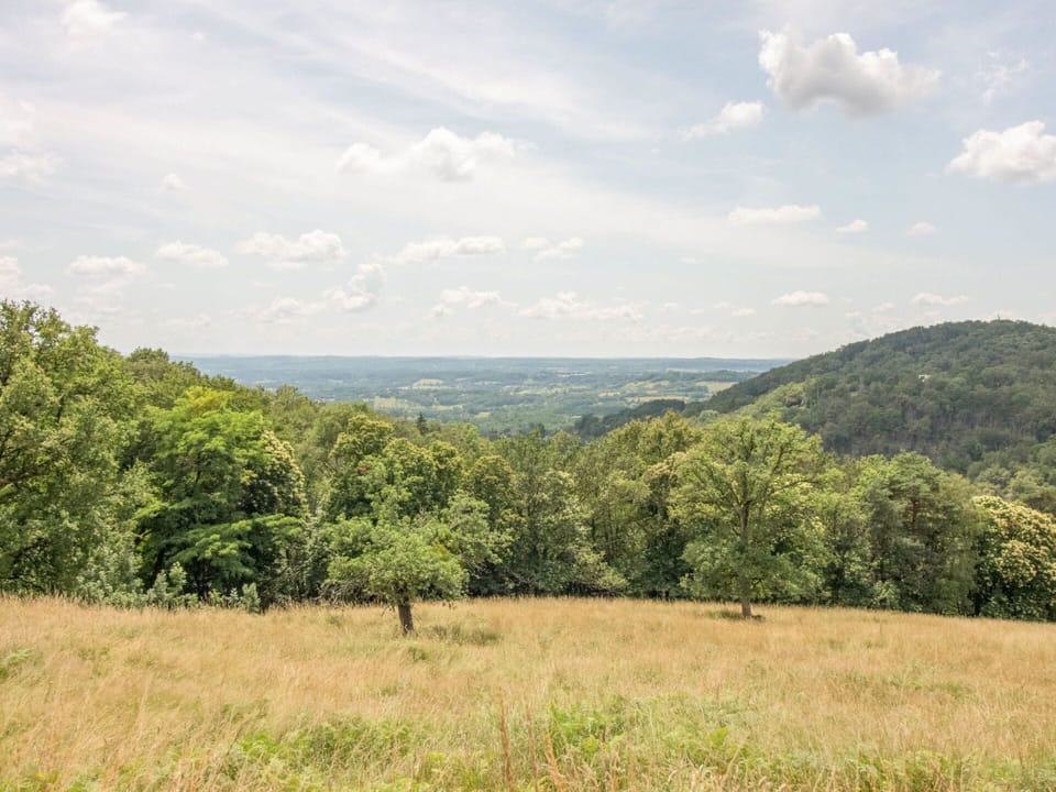 Cloud, Sky, Plant, Natural Landscape, Land Lot, Mountain, Cumulus, Grass, Tree, Horizon