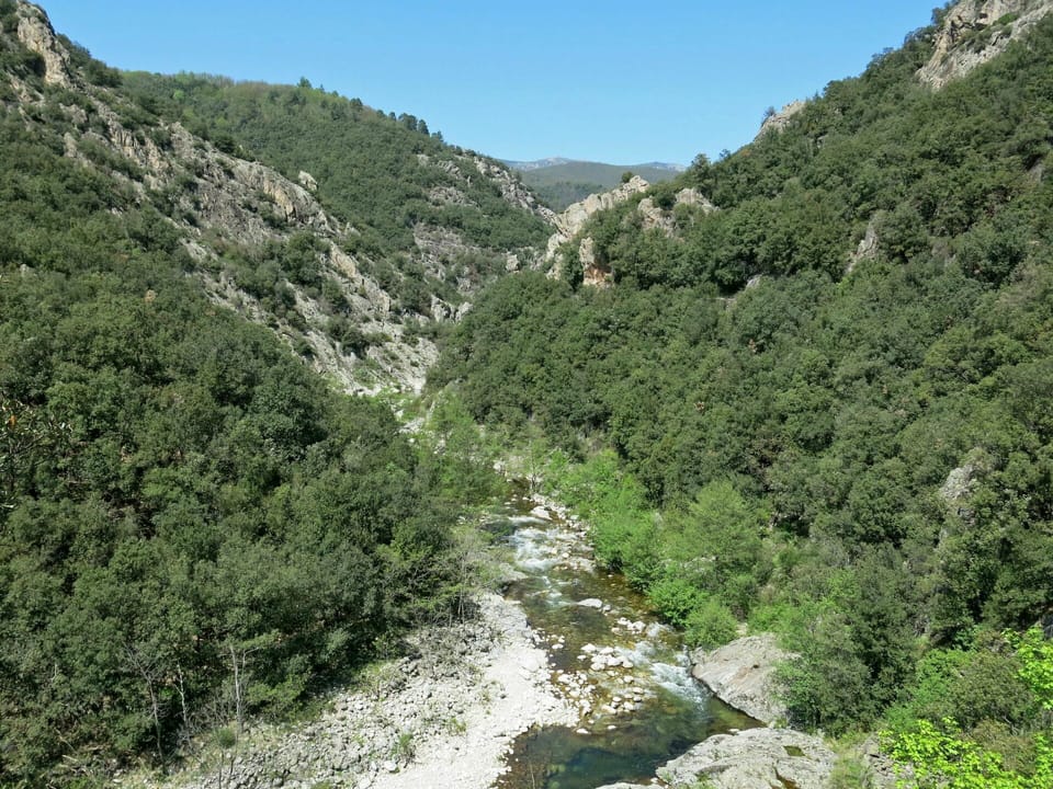Plant, Sky, Mountain, Water, Natural Landscape, Tree, Biome, Watercourse, Mountainous Landforms