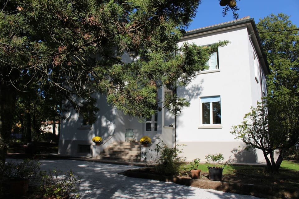 Property, House, Home, Building, Real Estate, Tree, Residential Area, Neighbourhood, Architecture, Estate