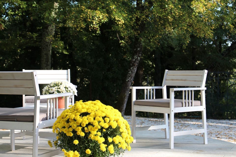 Yellow, Furniture, Table, Flower, Chair, Plant, Bench, Tree, Outdoor Furniture, Home
