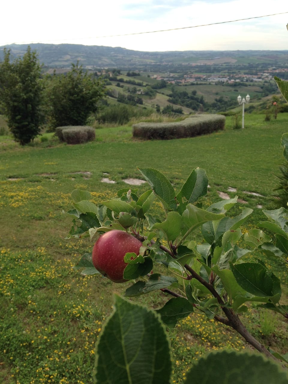 garden and hills