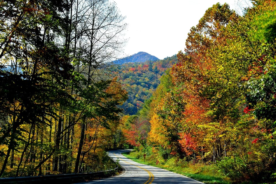 Curves, curves, everywhere are curves! Cherohala Skyway 15 min;Tail 40 min.