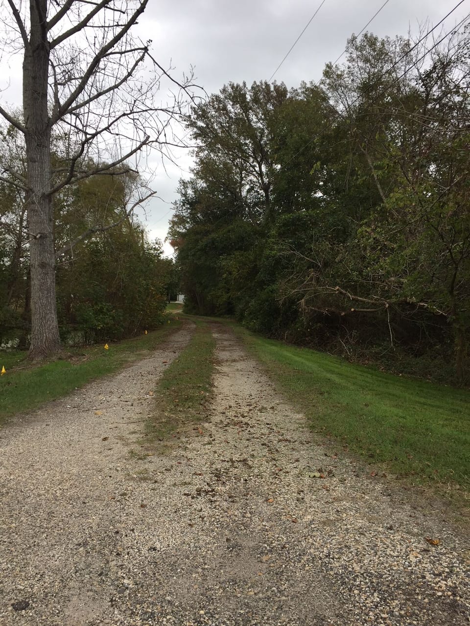 Private secluded driveway to house