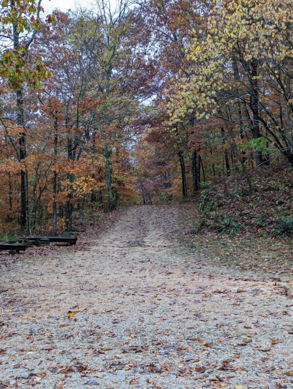 fall driveway with fire pit on left