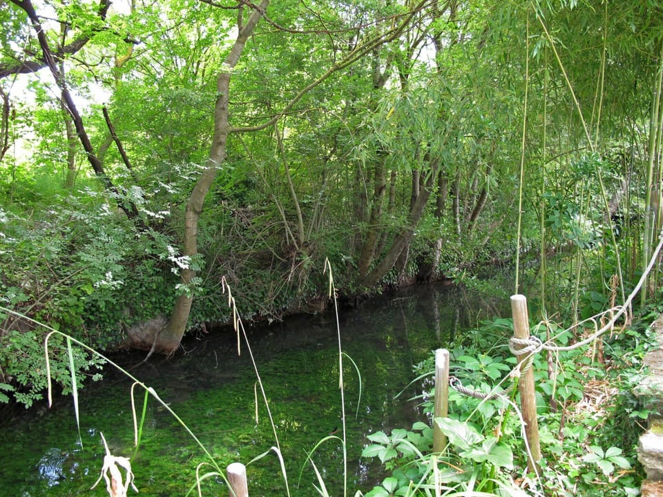 Body Of Water, Nature Reserve, Riparian Zone, Riparian Forest, Natural Environment, Vegetation, Nature, Natural Landscape, Water Resources, Bank