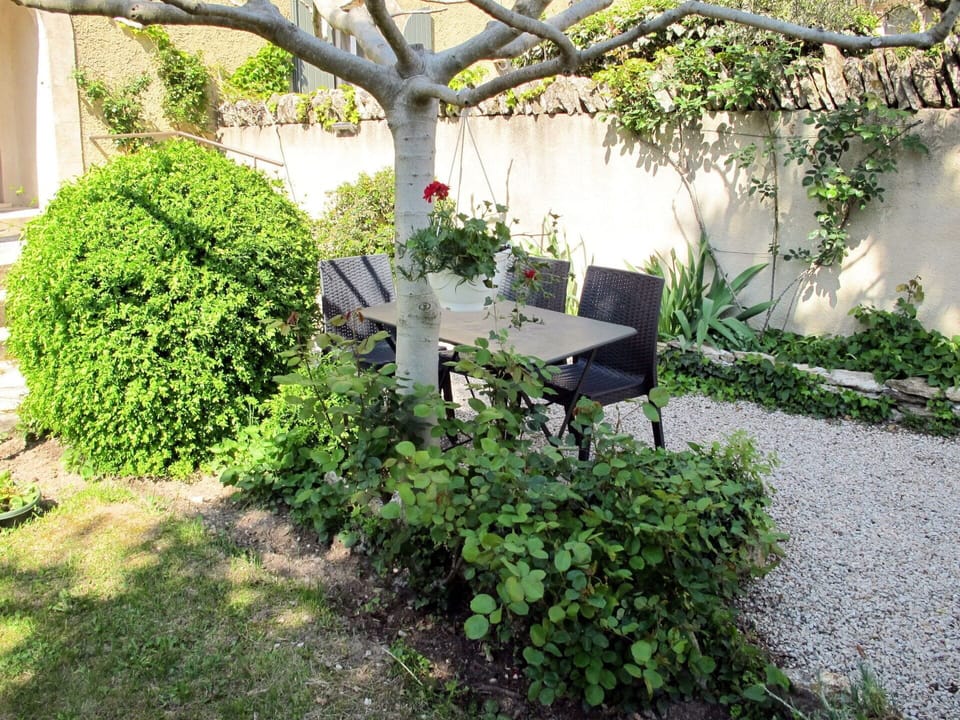 Plant, Table, Leaf, Tree, Vegetation, Chair, Outdoor Furniture, Outdoor Table, Shade, Building