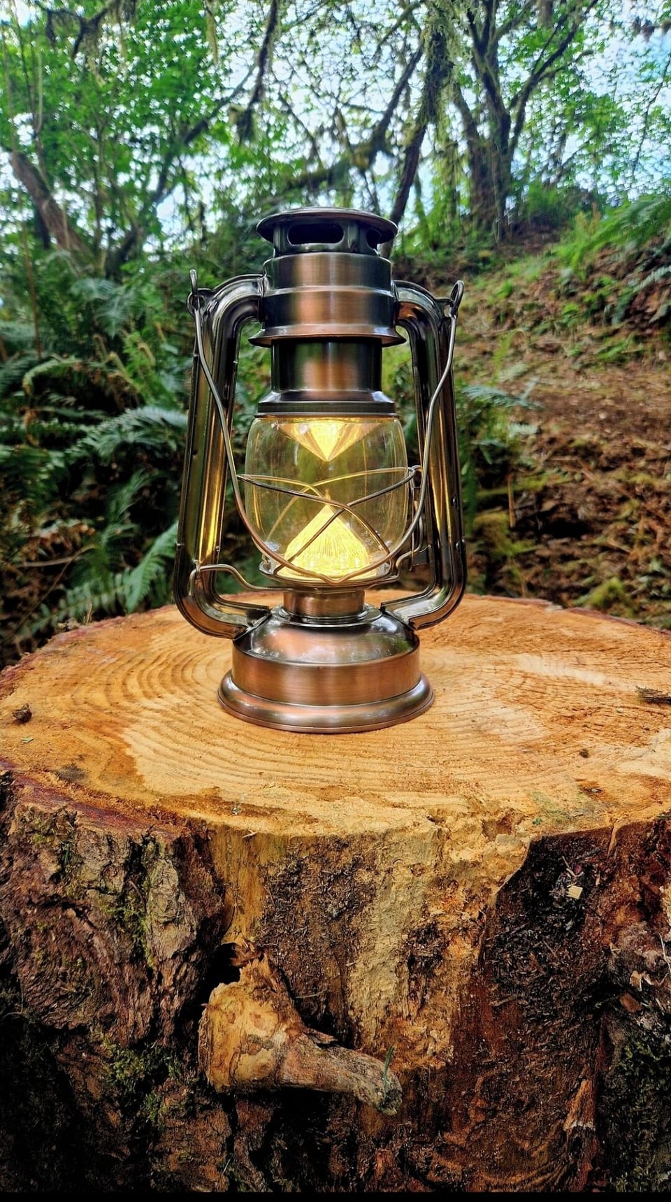 That PNW feeling...