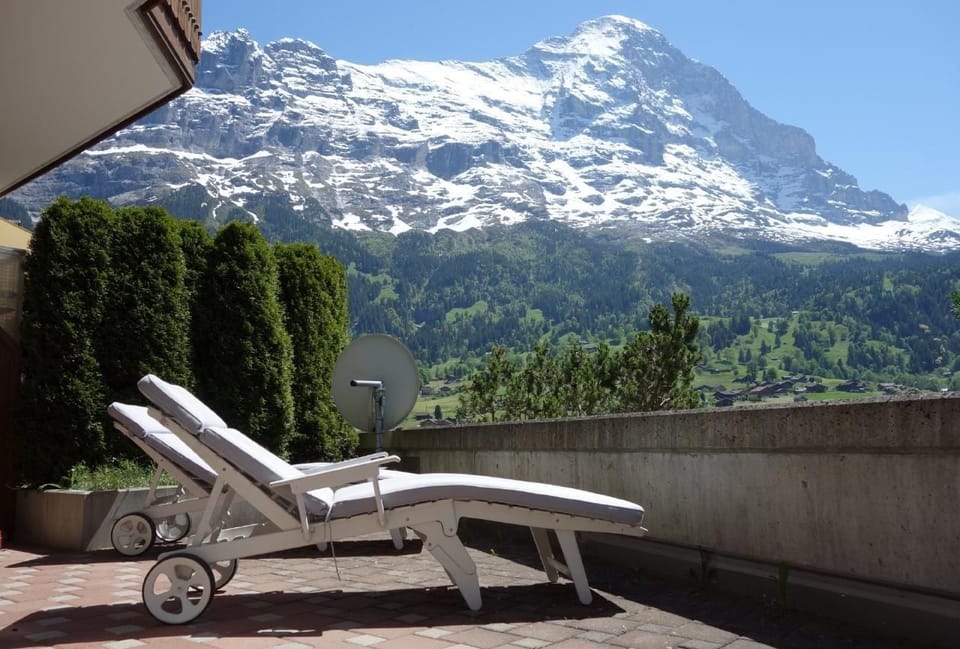 View from the terrace
