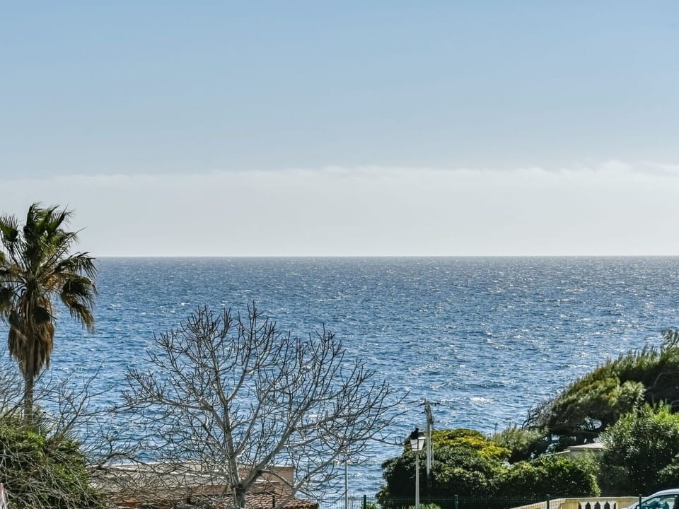 Sky, Cloud, Water, Plant Community, Azure, Tree, Natural Landscape, Coastal And Oceanic Landforms, Terrain, Woody Plant