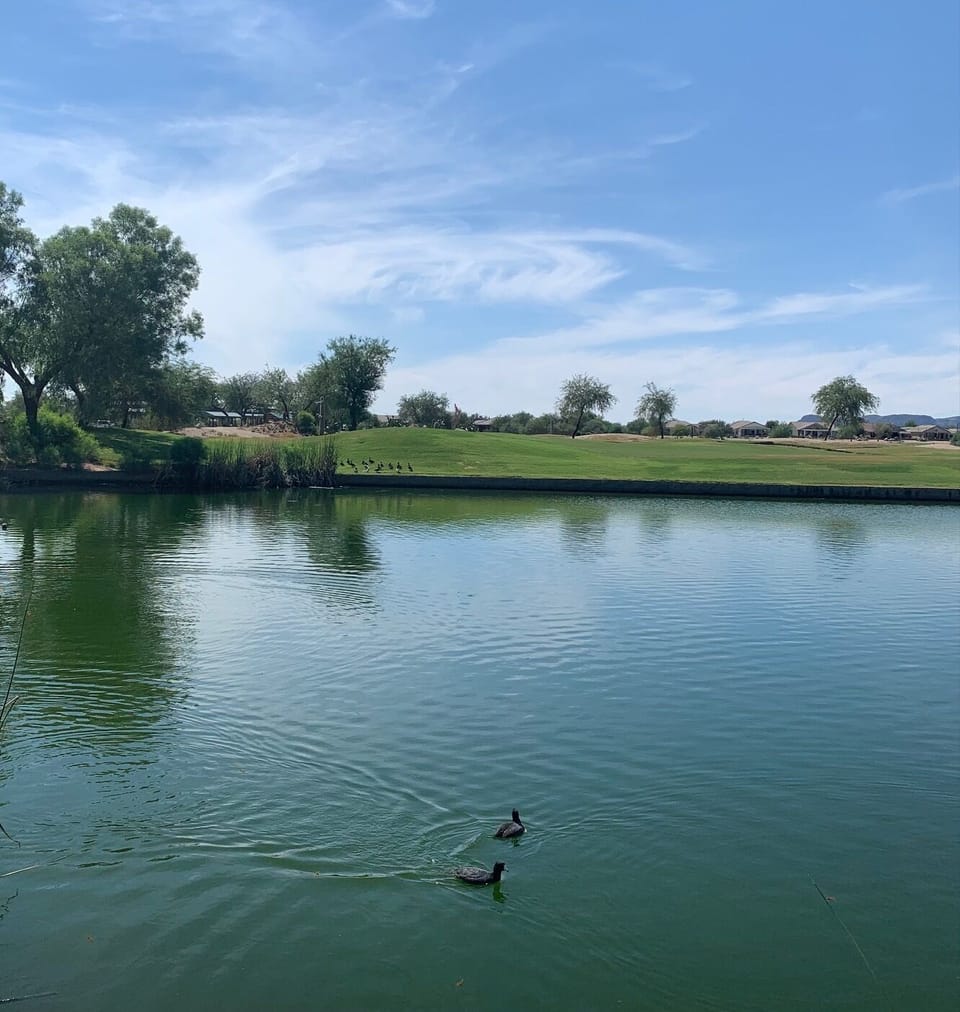 Johnson Ranch pond