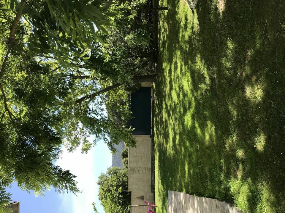 Building, Plant, Green, Natural Landscape, Wood, Branch, Trunk, Sunlight, Vegetation, Shade