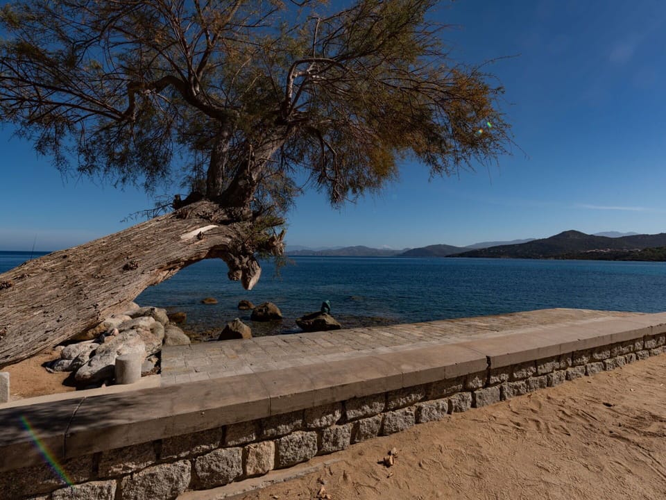 Sky, Water, Wood, Tree, Plant, Coastal And Oceanic Landforms, Trunk, Bank, Woody Plant, Horizon