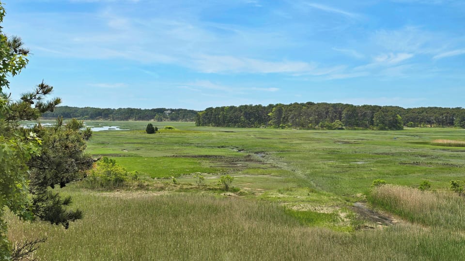 Lovely tidal marsh views from the primary bedroom, tide out