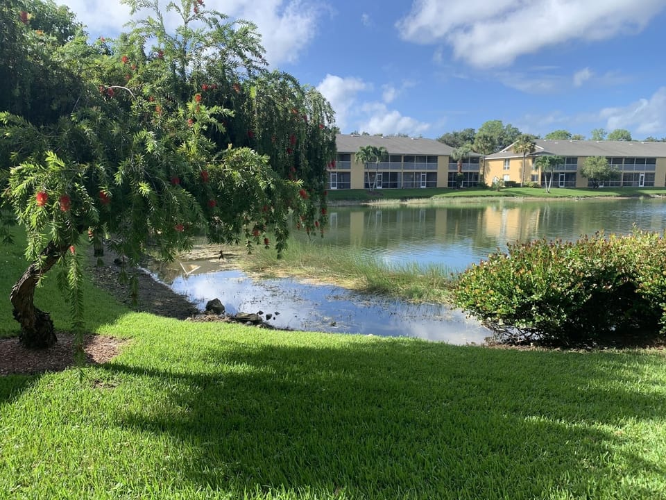 Lanai View