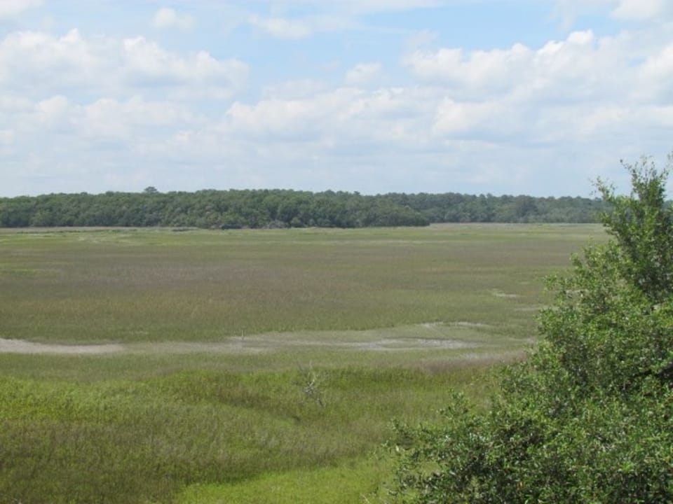 view from porch