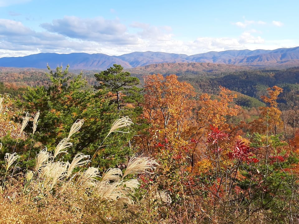When of the many beautiful overlooks on the scenic road foothills Parkway.