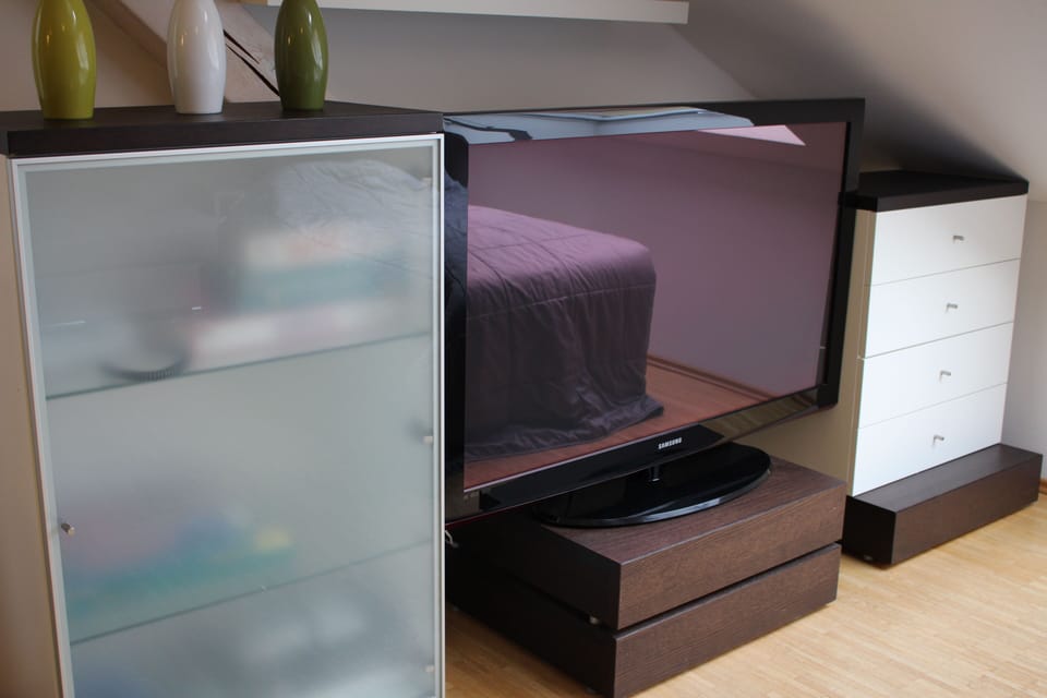 Television