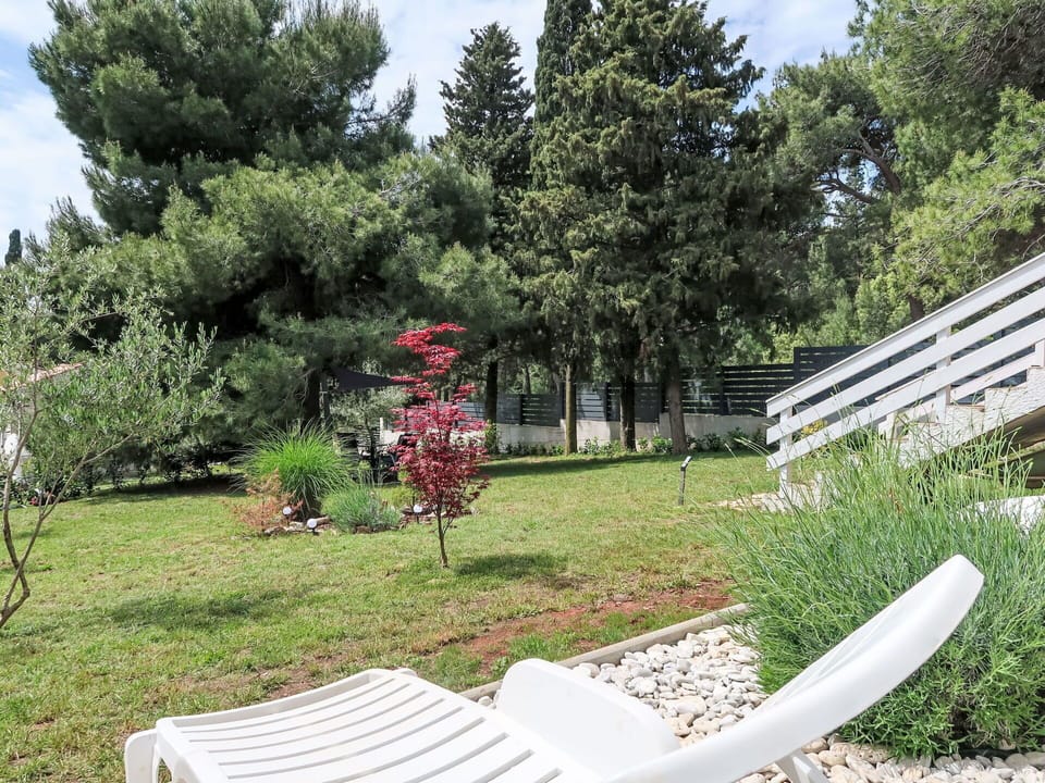 Shrub, Garden, Lawn, Shade, Landscaping, Backyard, Outdoor Furniture, Yard, Park