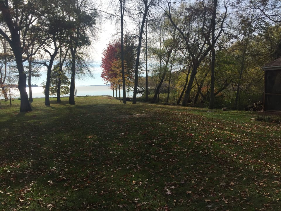 View from property