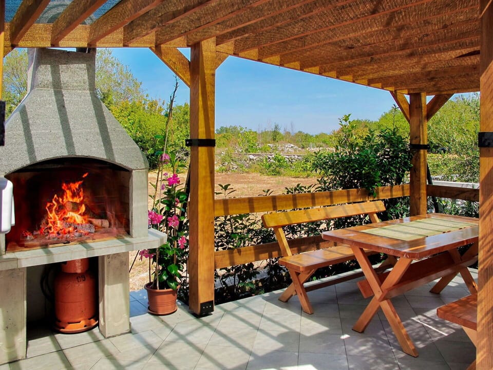 Plant, Property, Flower, Wood, Sky, Shade, Interior Design, Outdoor Furniture, Flowerpot, Tree