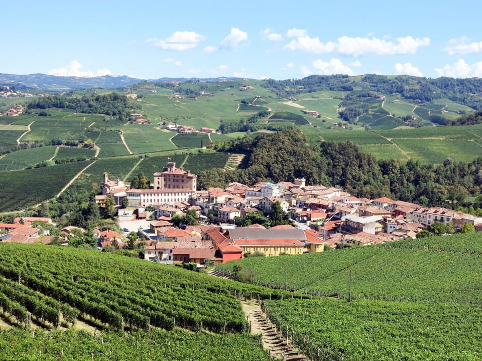 Water, Sky, Cloud, Water Resources, Azure, Tree, Natural Landscape, Beach, Coastal And Oceanic Landforms, Plant