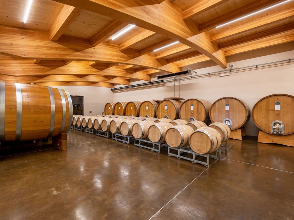 Barrel, Winery, Wood, Floor, Flooring, Hardwood, Building, Ceiling
