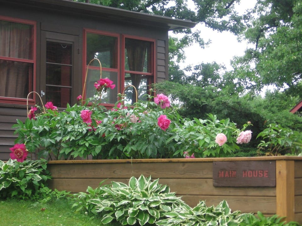 Back porch