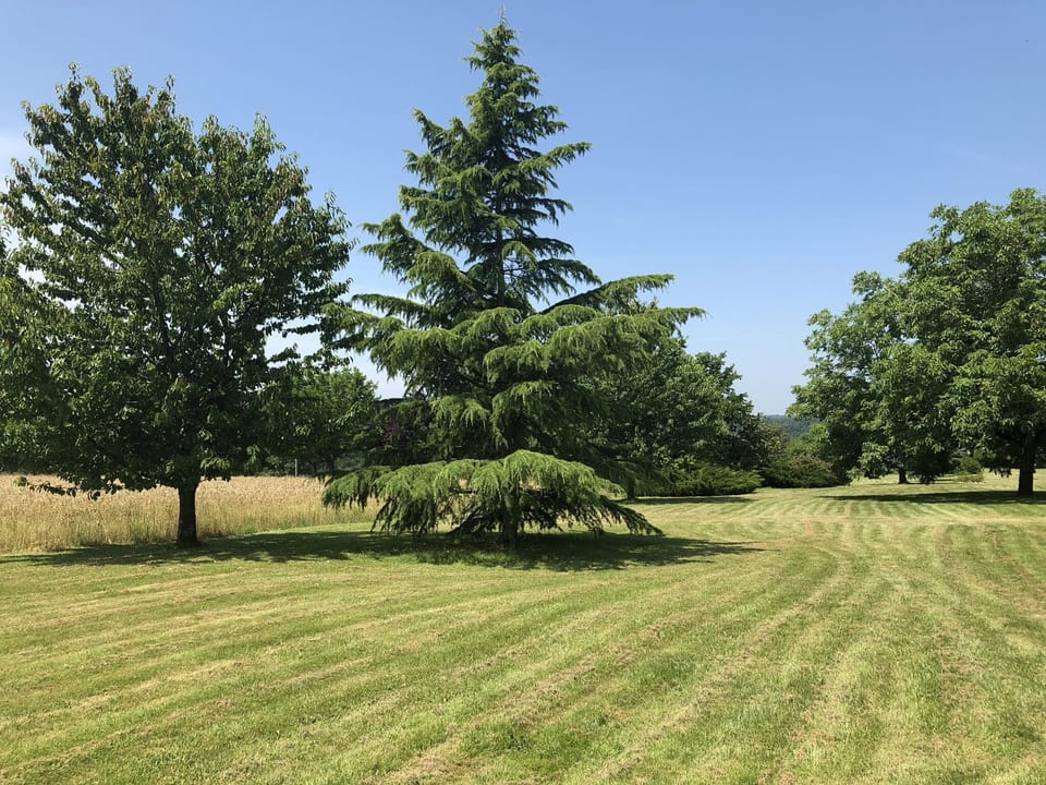 Extensive gardens.