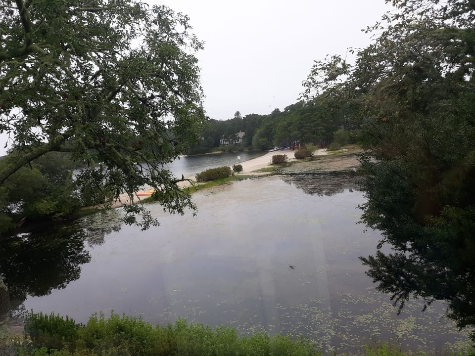 calm safe clean fresh water to swim kayak sail or hook a trophy bass . PERFECT.