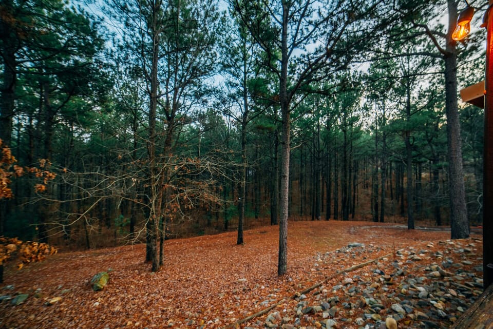 Wild & Free - Beautiful / 4 Bedrooms 2 Masters  / on 3 Mountain Acres Cabin in Broken Bow