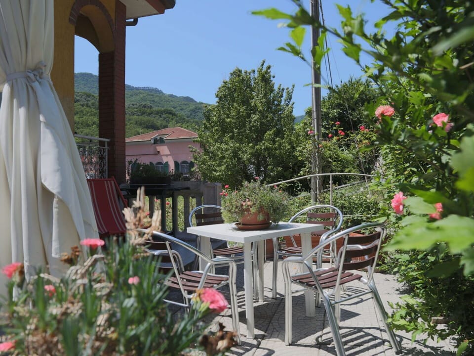 Furniture, Table, Chair, Outdoor Furniture, Outdoor Table, Kitchen & Dining Room Table, Flowerpot, Shade, Houseplant