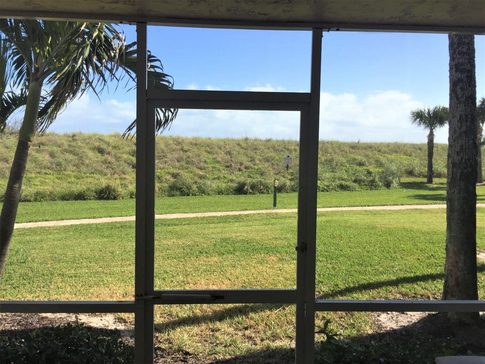 View from back porch.
