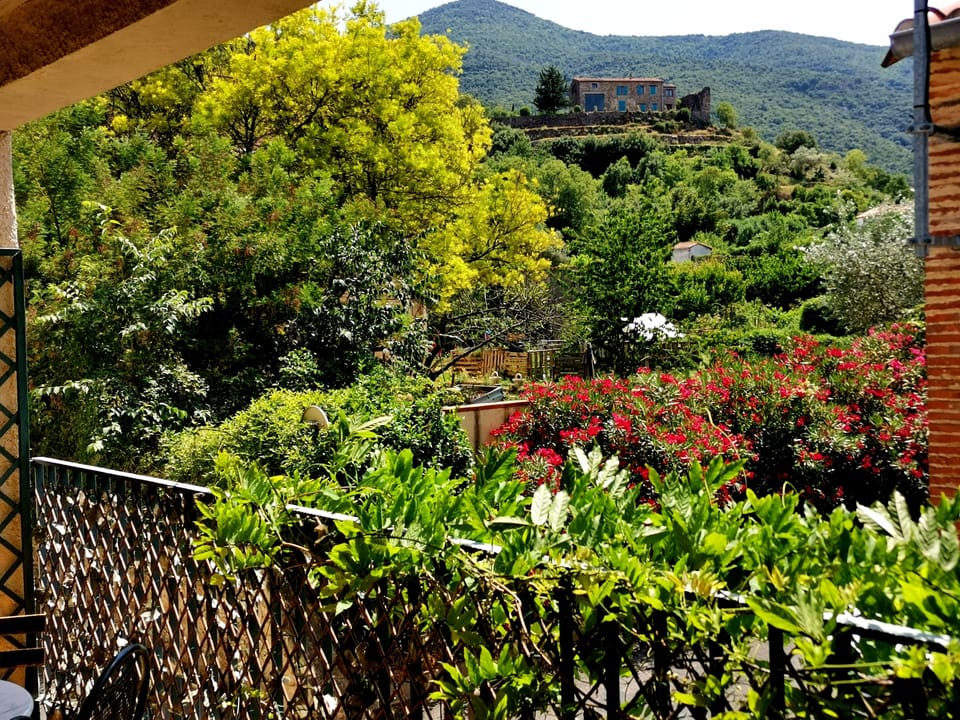 View from the sitting room terrace