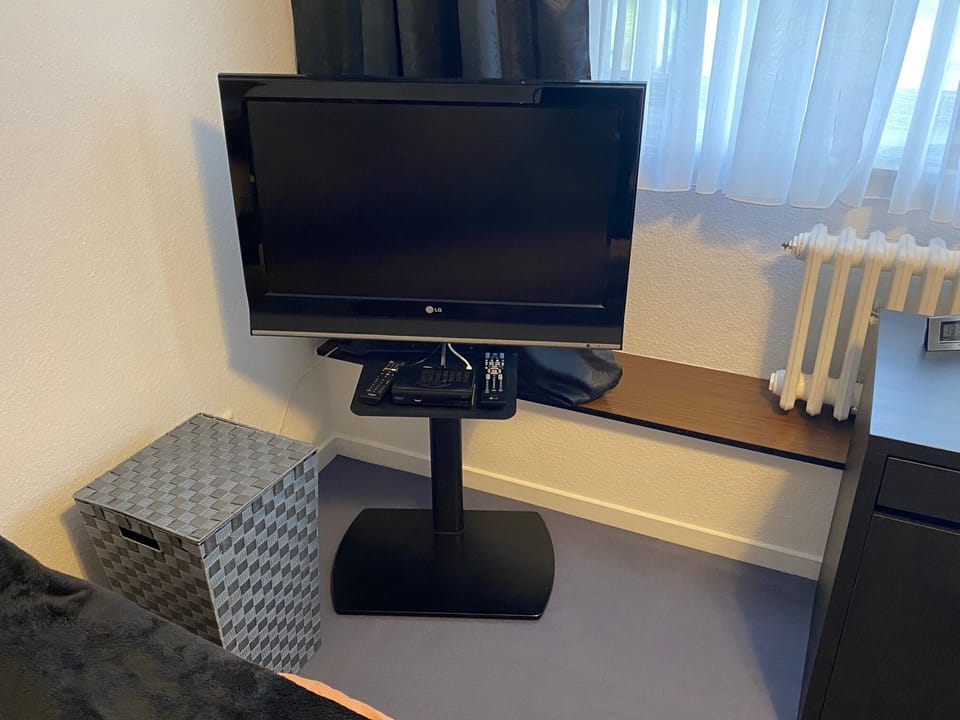 Television