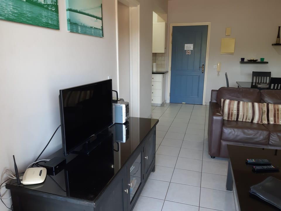 Living/TV area 