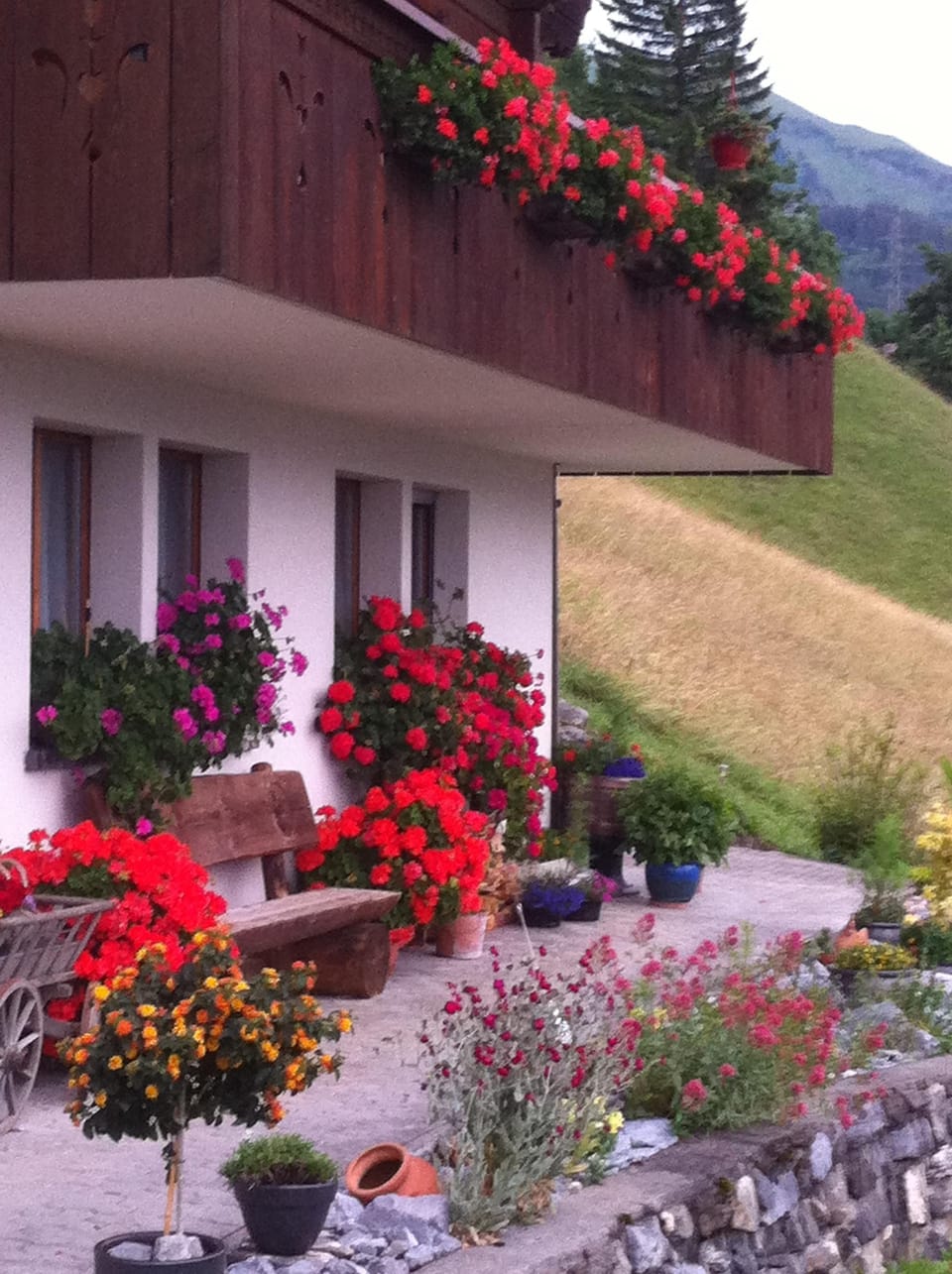 Sitzplatz vor dem Haus