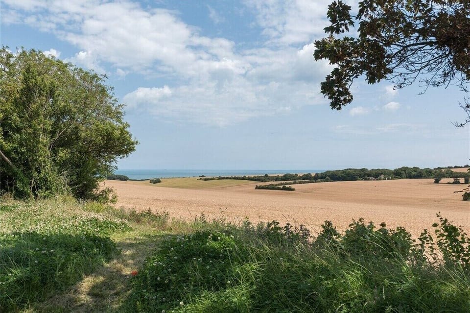 Image 22