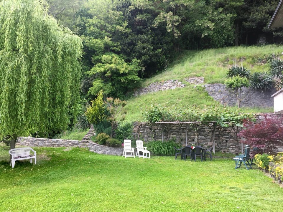 Garden, Tree, Green, Grass, Property, Natural Landscape, Shrub, Yard, Lawn, Botany
