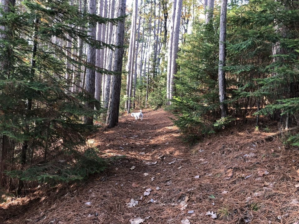 Lumberjack Trails  Boulder Junction, Wi